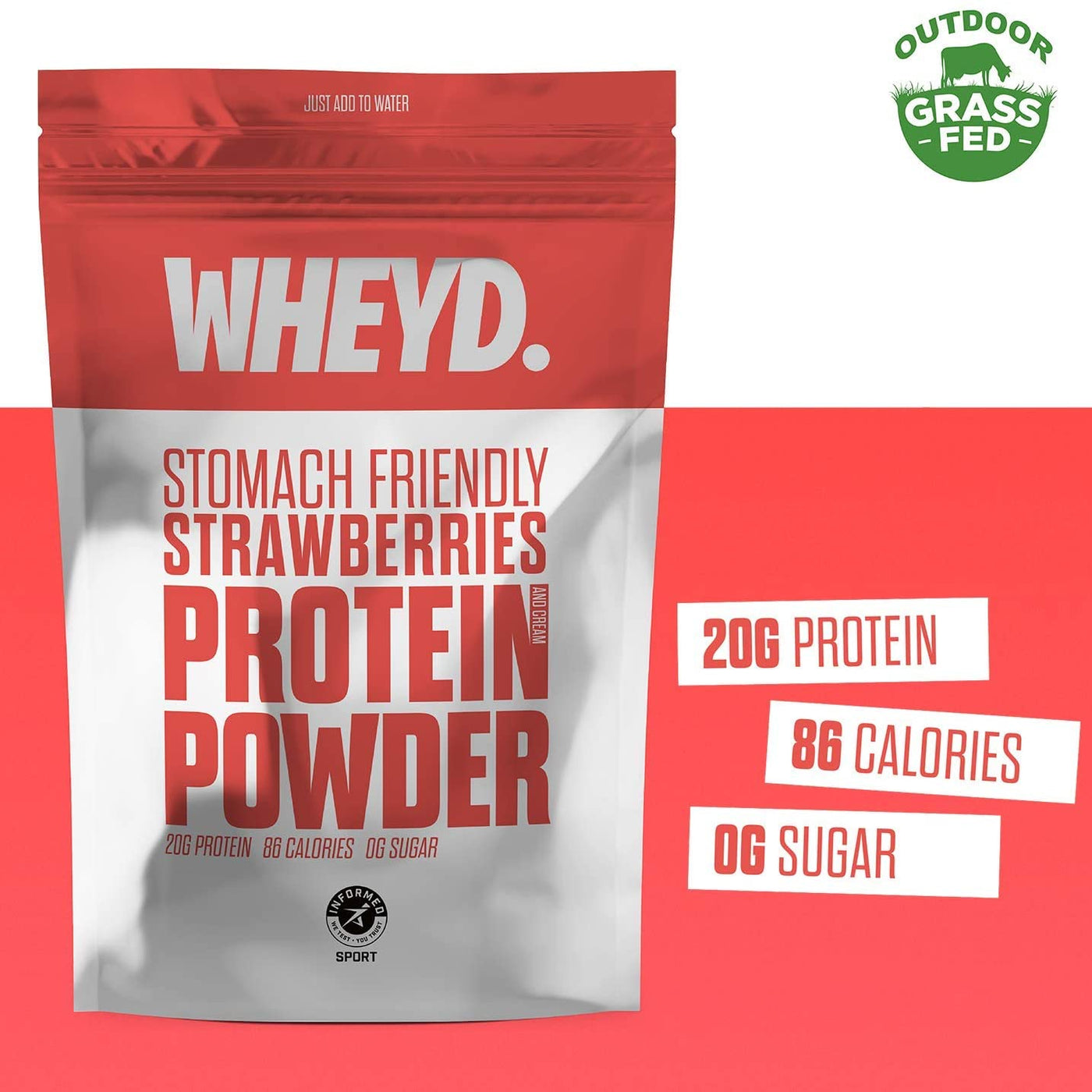 Lactose Free Strawberry Protein Powder 