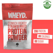 Lactose Free Strawberry Protein Powder 